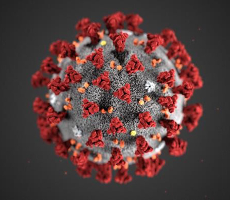 Coronavirus_Vorschau